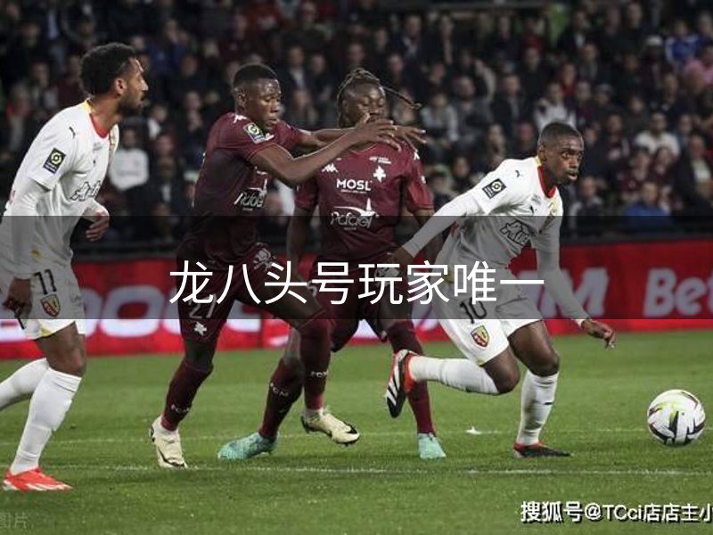 龙八(头号玩家)唯一官方网站
