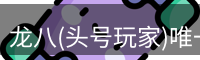 龙八头号玩家唯一